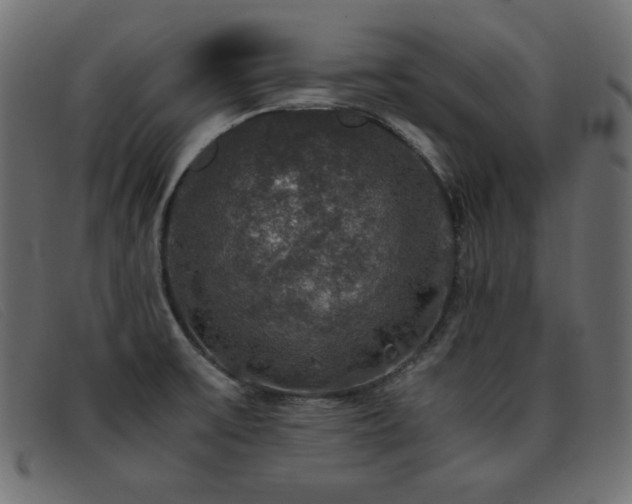 X0000093371475200710111427