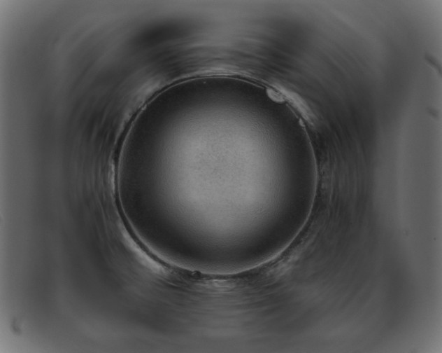 X0000093371476200710111427