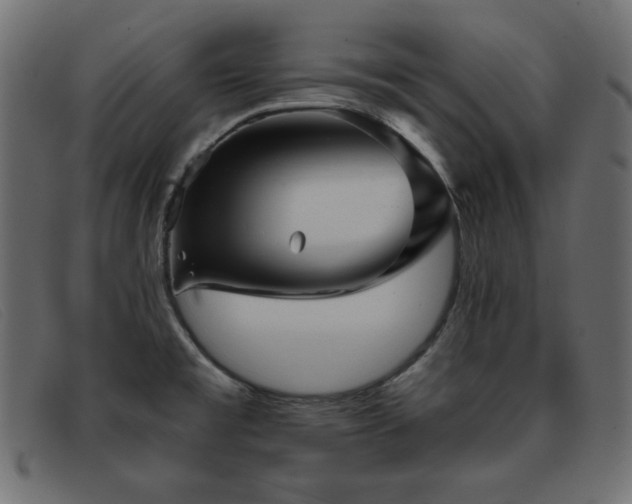 X0000093371477200710111427