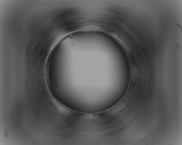 X0000093371478200710111427