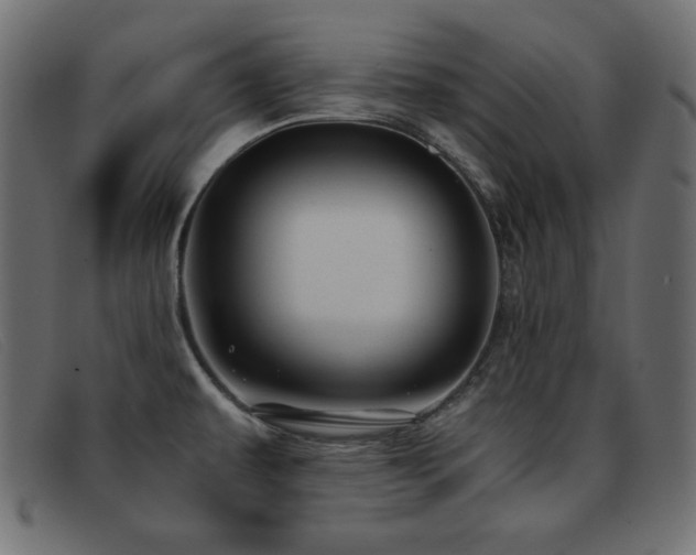 X0000093371479200710111427