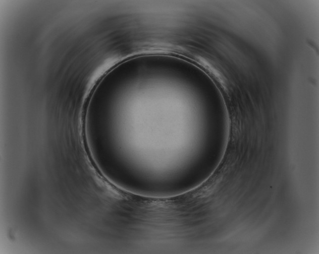 X0000093371480200710111427