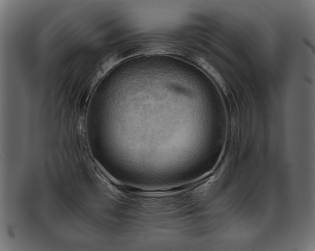 X0000093371481200710111427