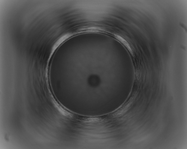 X0000093371482200710111427