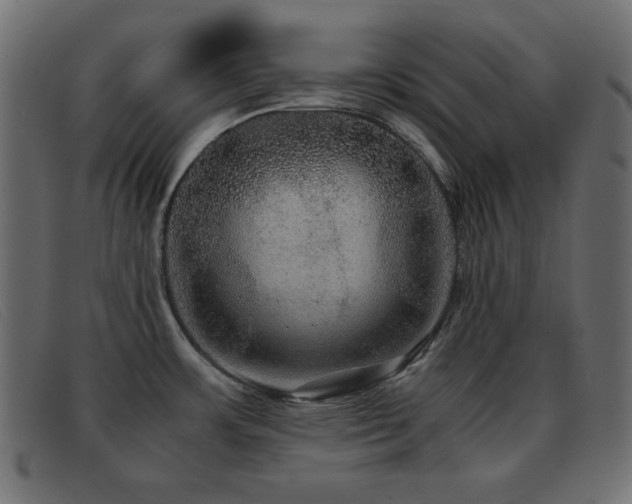 X0000093371483200710111427