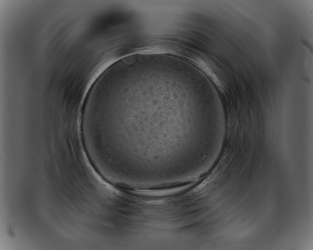 X0000093371484200710111427