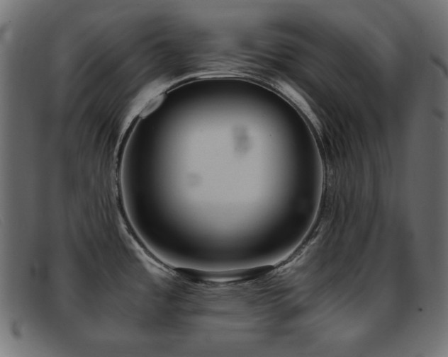 X0000093371485200710111427