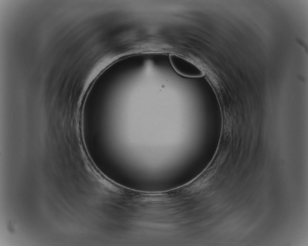 X0000093371486200710111427