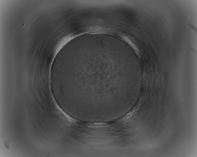 X0000093371487200710111427