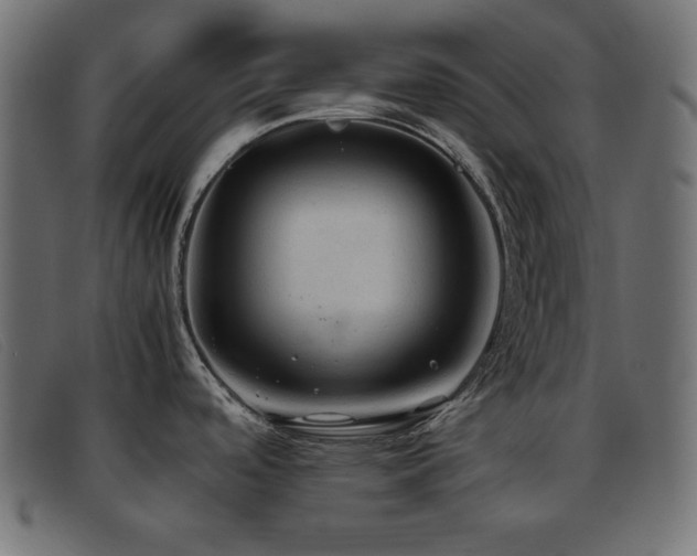 X0000093371488200710111427