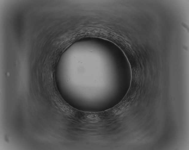 X0000093371489200710111427