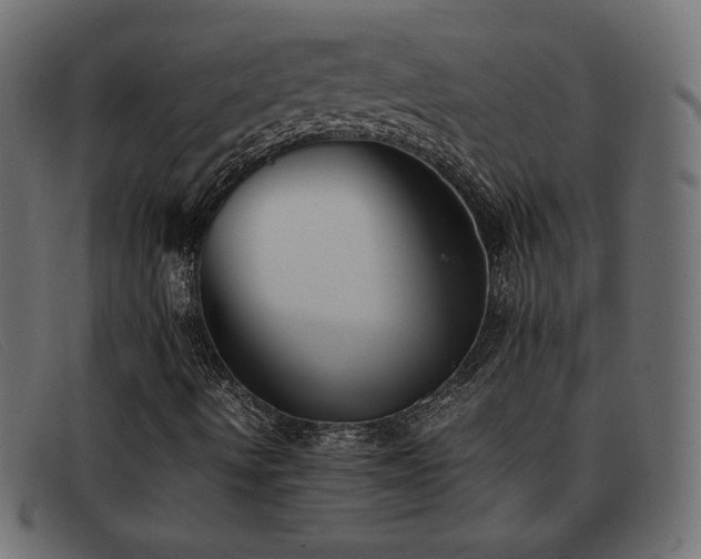 X0000093371490200710111427