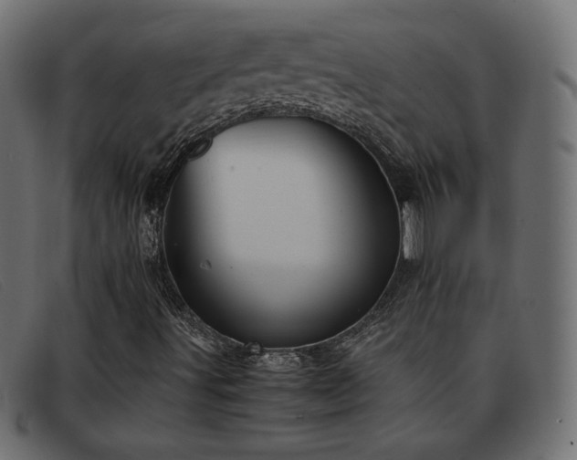X0000093371491200710111427