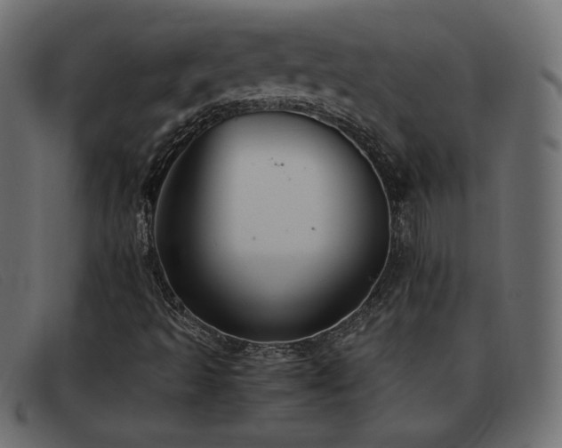 X0000093371493200710111427