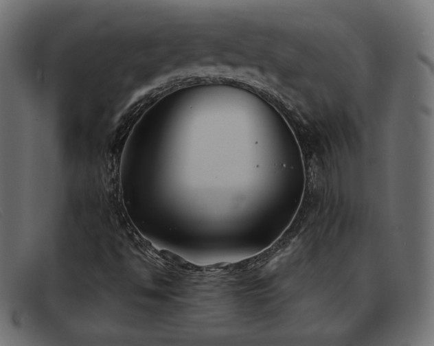 X0000093371494200710111427