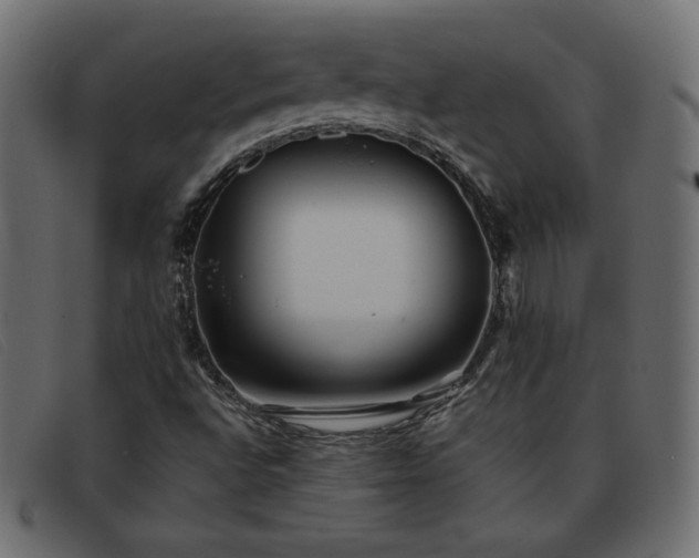 X0000093371496200710111427