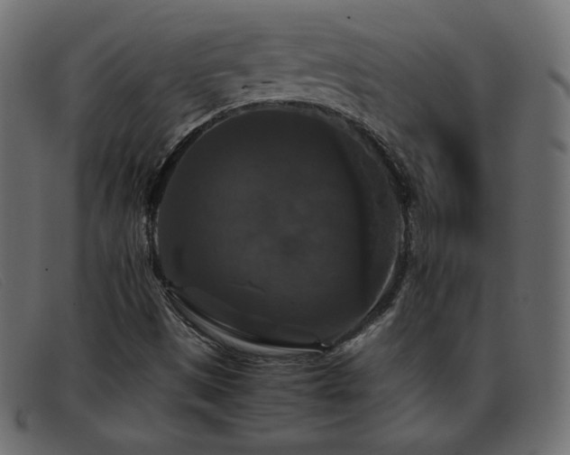 X0000093371497200710111427