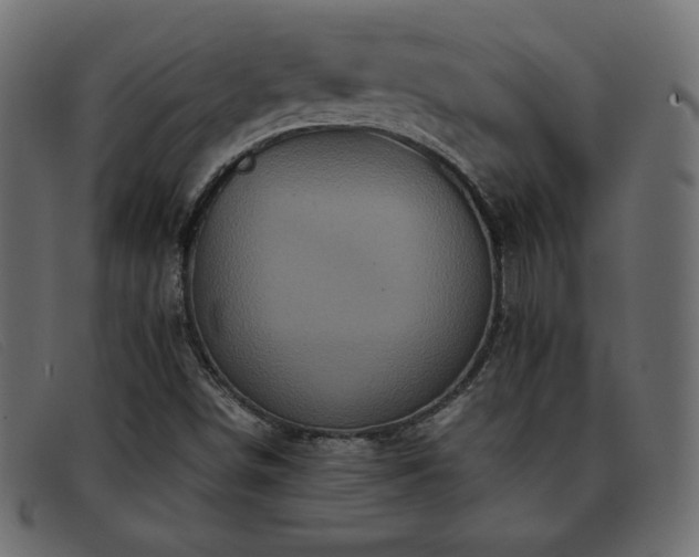 X0000093371498200710111427