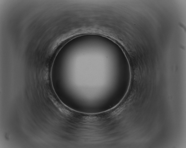 X0000093371499200710111427