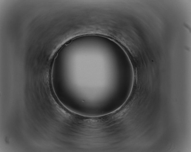 X0000093371500200710111427