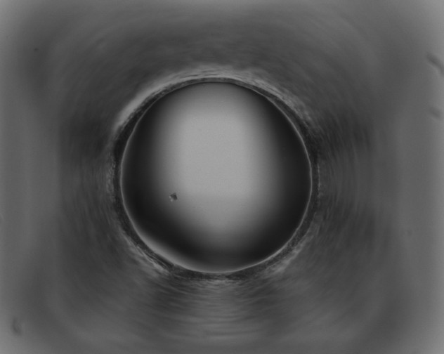 X0000093371502200710111427