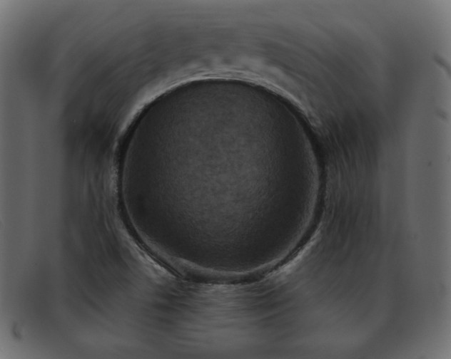 X0000093371506200710111427