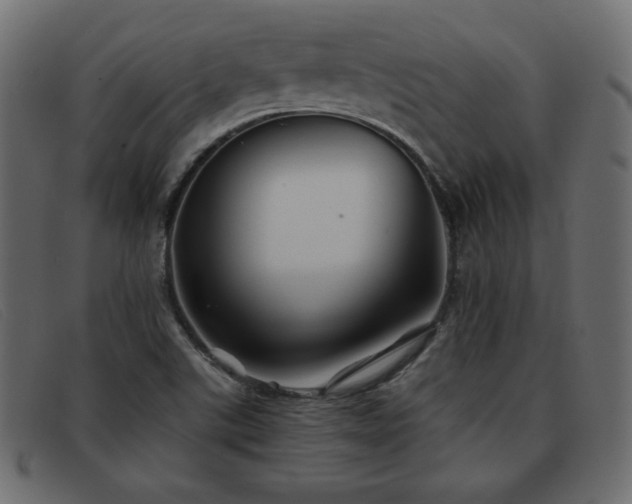 X0000093371507200710111427