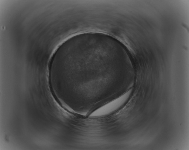X0000093371508200710111427