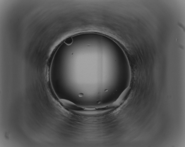 X0000093371510200710111427