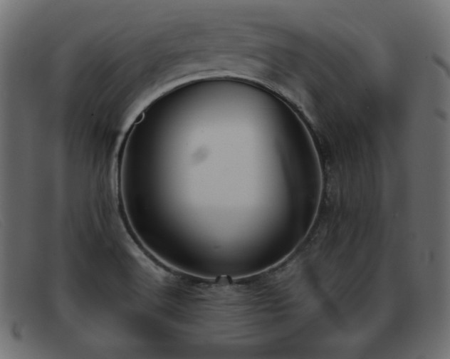 X0000093371516200710111427