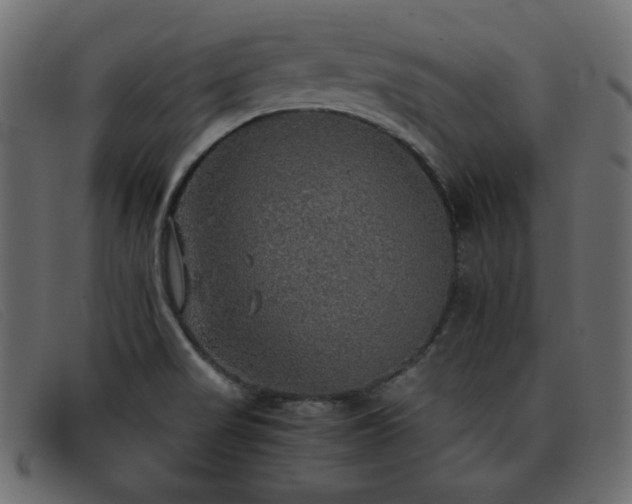 X0000093371517200710111427