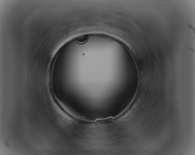 X0000093371518200710111427
