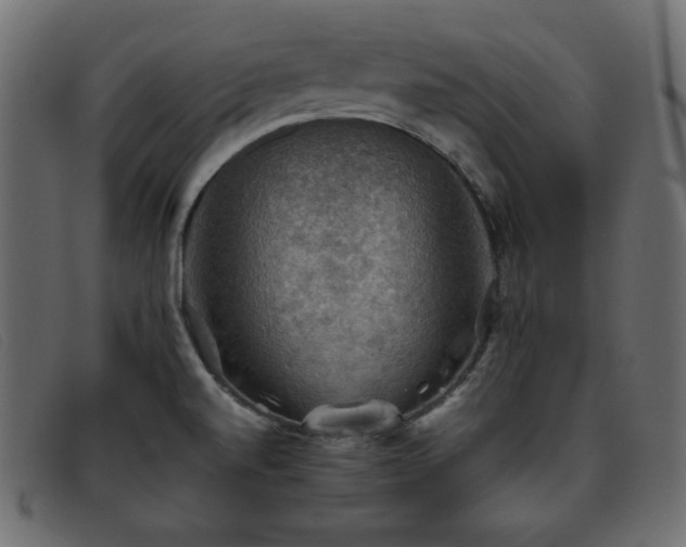X0000093371520200710111427