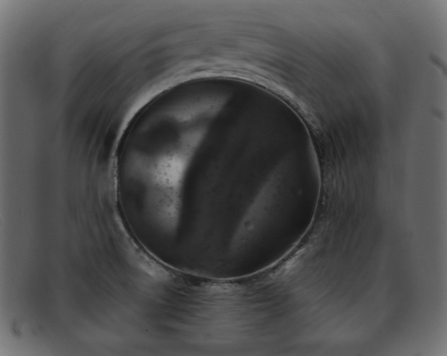 X0000093371522200710111427