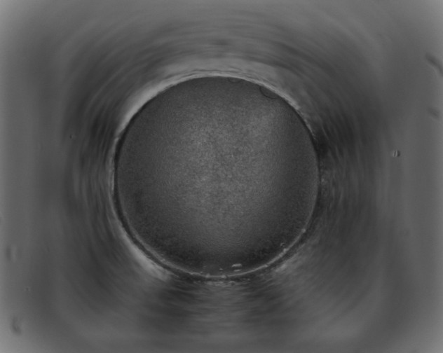 X0000093371523200710111427