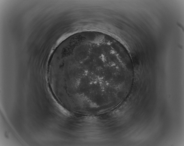 X0000093371525200710111427