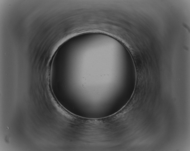 X0000093371526200710111427