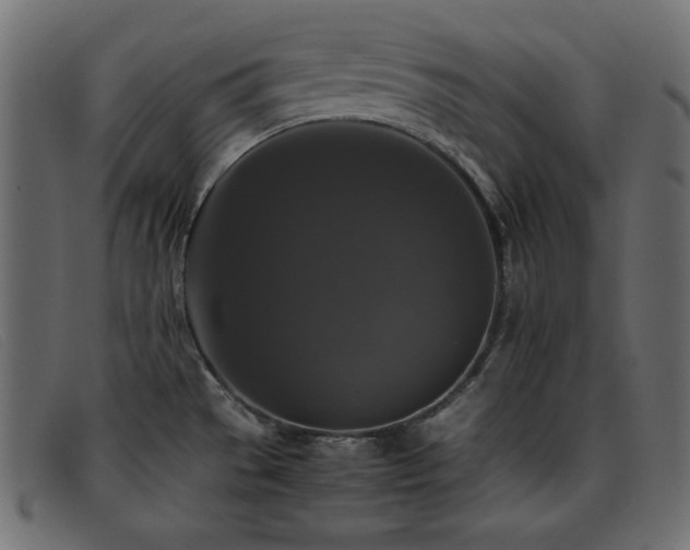 X0000093371529200710111427