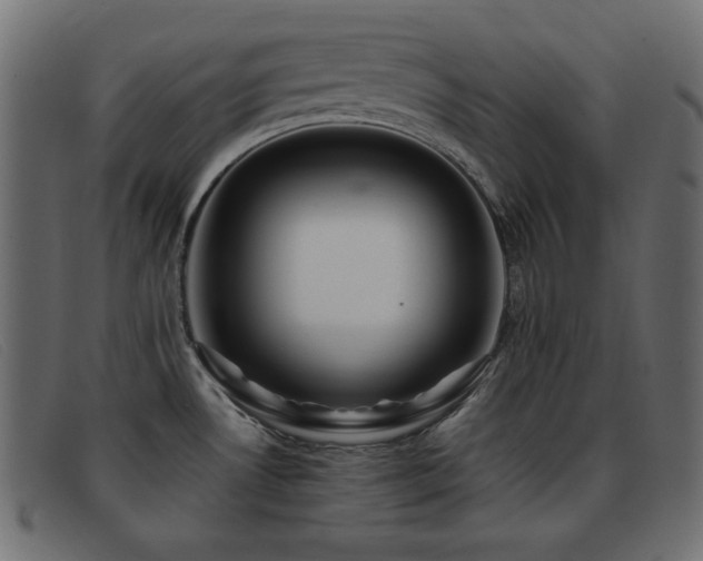 X0000093371530200710111427