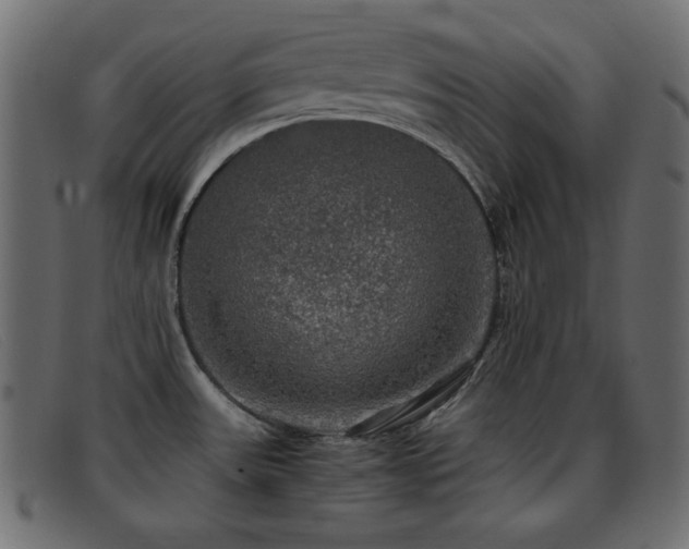 X0000093371531200710111427