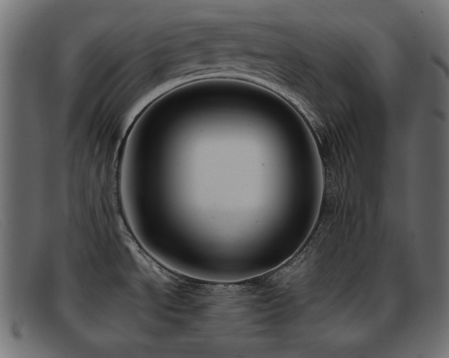 X0000093371534200710111427