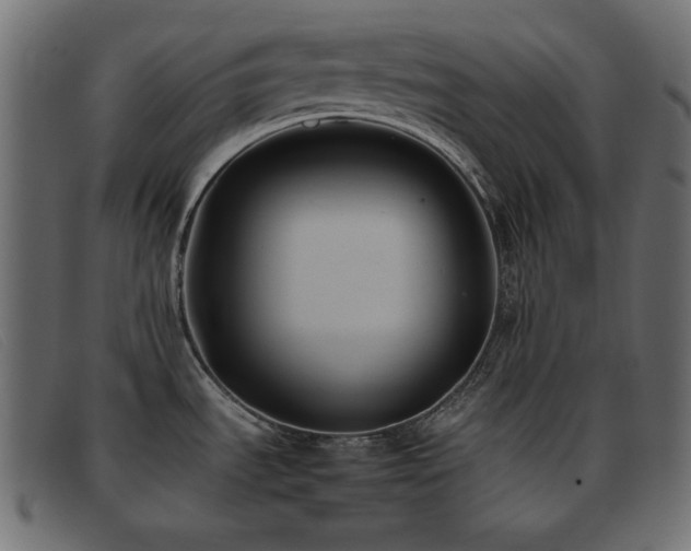 X0000093371535200710111427