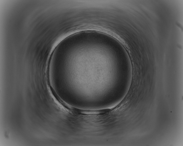 X0000093371536200710111427