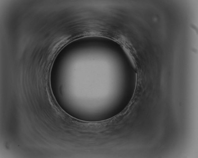 X0000093370001200710191125