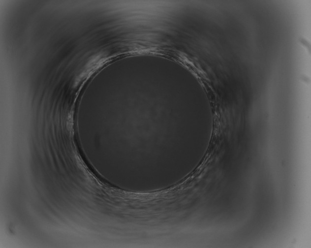 X0000093370002200710191125