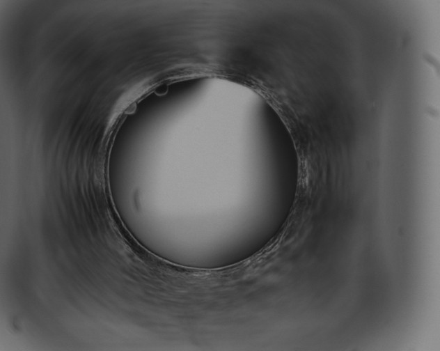 X0000093370004200710191125