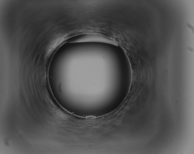 X0000093370005200710191125