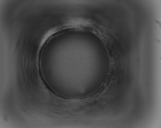 X0000093370006200710191125