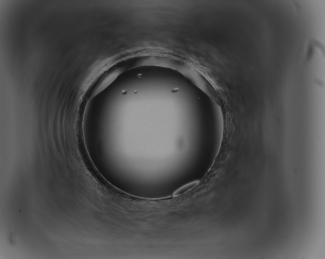 X0000093370007200710191125