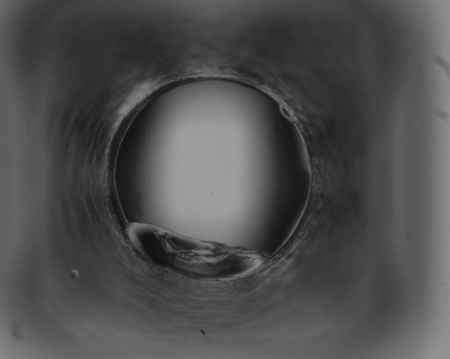 X0000093370008200710191124